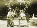 boy with donkey