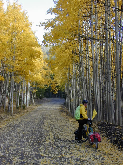 Biking up the Marshall Pass Road, 