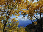 mountain fall colors