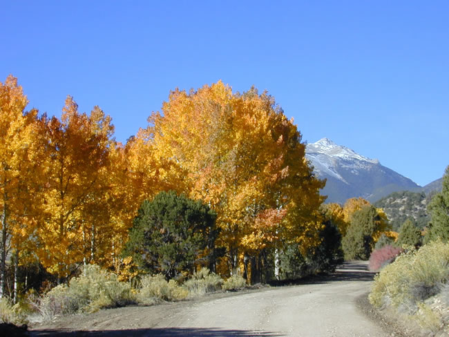 chaffee county back roads