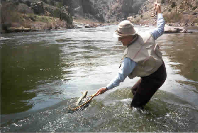 Arkansas River trout fishing.