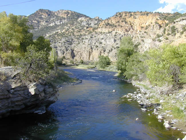 chaffee county view