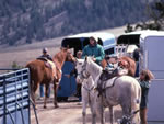 Colorado horseback riding